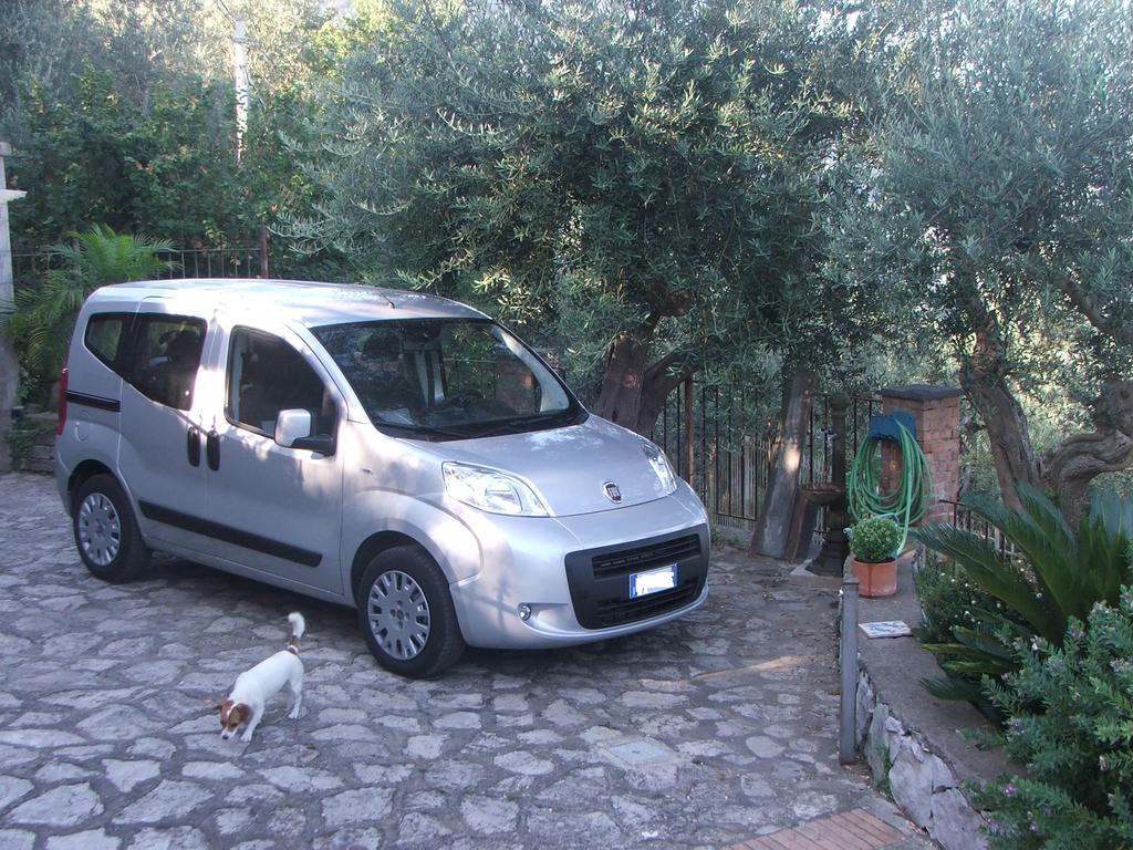 Casa vacanze Villetta Surriento Sorrento